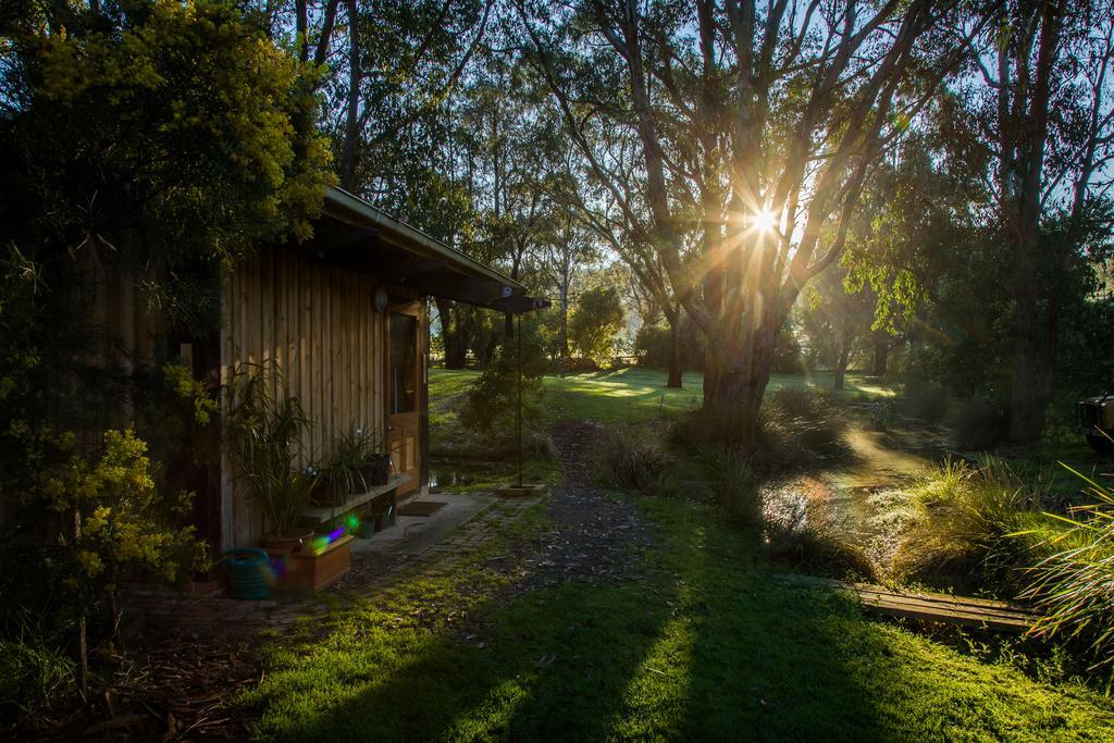 The Burrow At Wombat Bend Dixons Creek Exterior foto