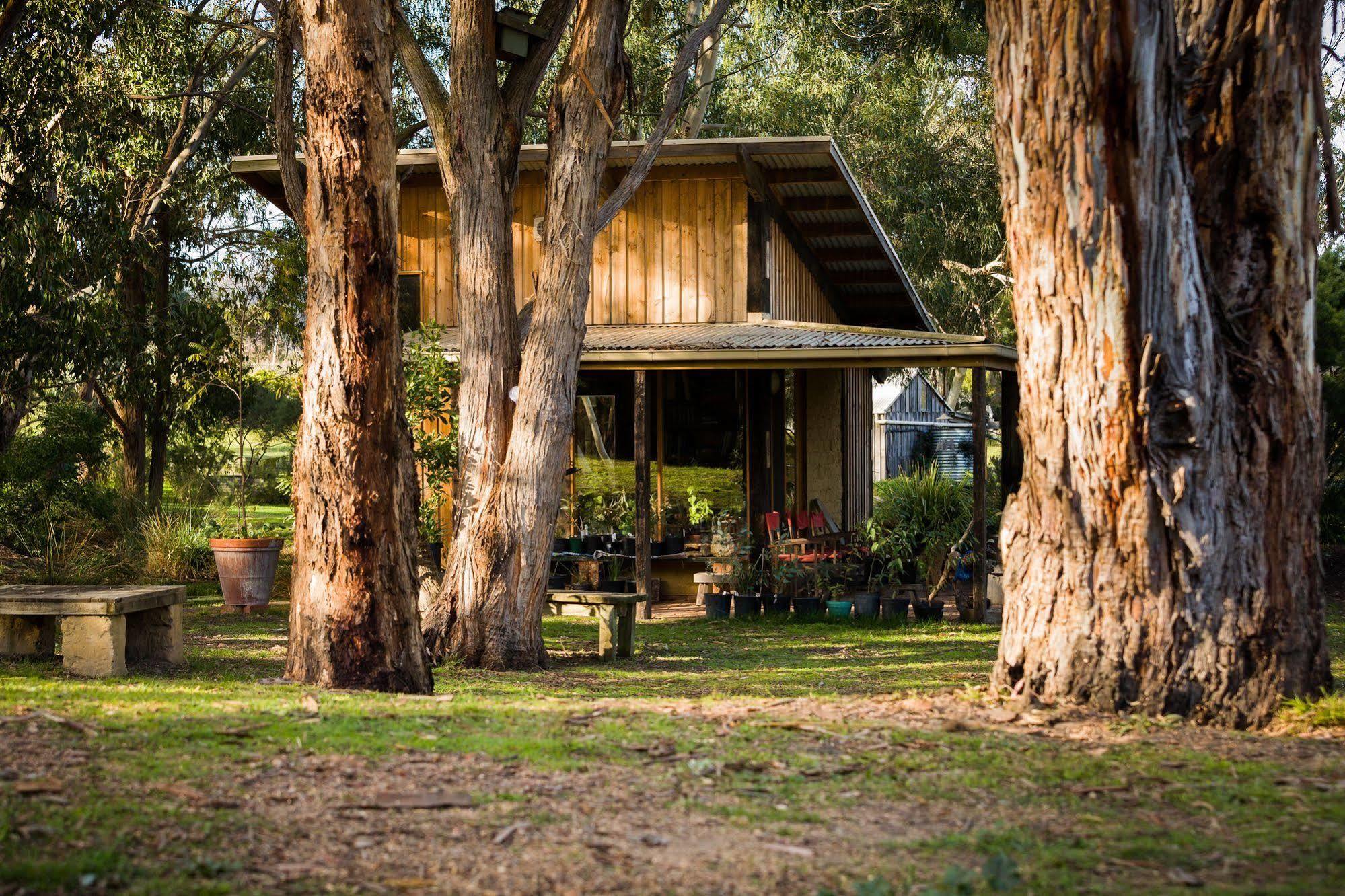 The Burrow At Wombat Bend Dixons Creek Exterior foto