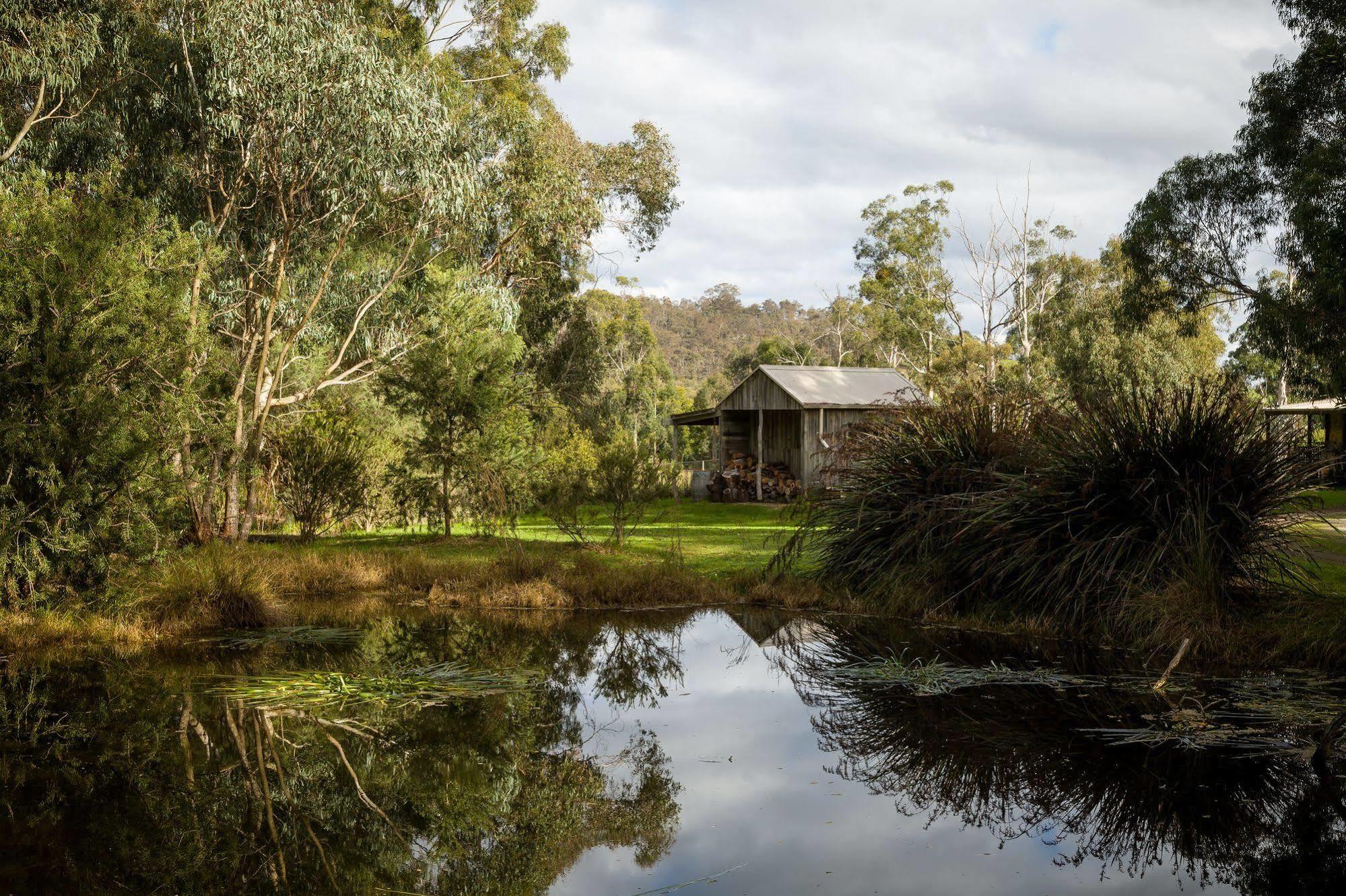 The Burrow At Wombat Bend Dixons Creek Exterior foto