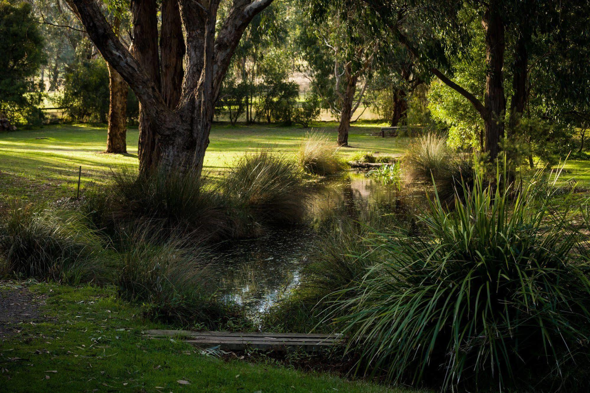The Burrow At Wombat Bend Dixons Creek Exterior foto