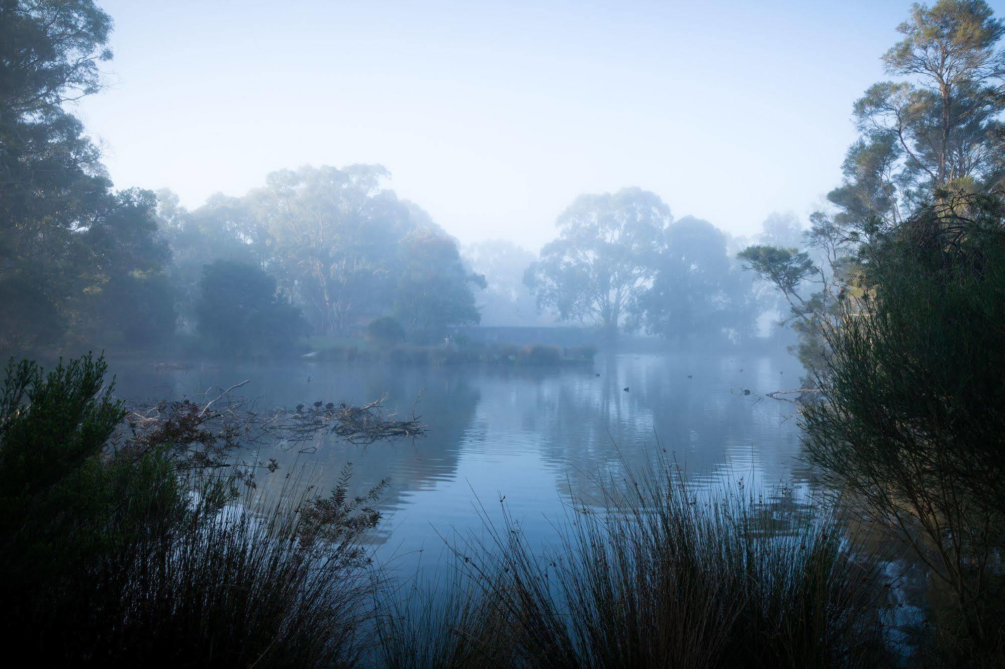 The Burrow At Wombat Bend Dixons Creek Exterior foto
