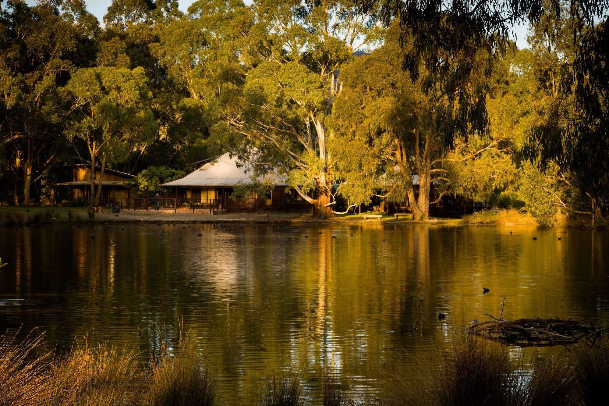The Burrow At Wombat Bend Dixons Creek Exterior foto